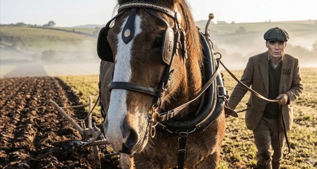 Leather horse harness, with saddle, reins and stirrups
